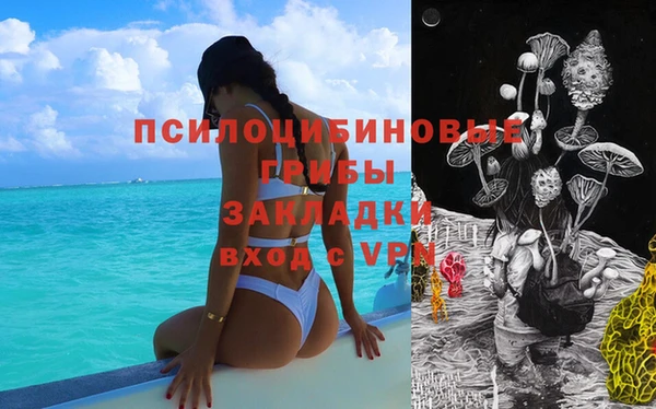 прущие крисы Новокубанск