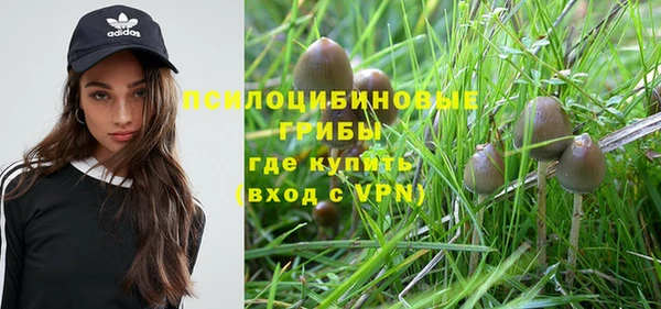 МДМА Новозыбков