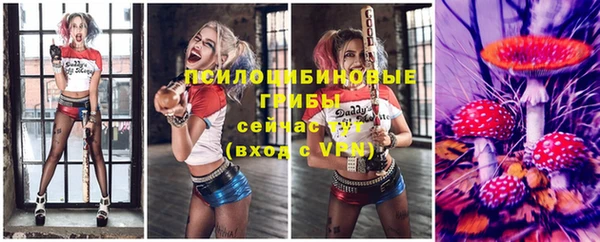 прущие крисы Новокубанск