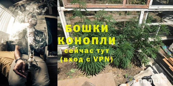 МДМА Новозыбков