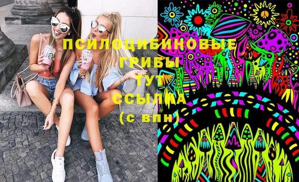 прущие крисы Новокубанск