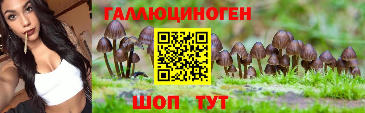 где можно купить наркотик  Псилоцибиновые грибы Cubensis  Вход с VPN  Псилоцибиновые грибы MAGIC MUSHROOMS  Электросталь 